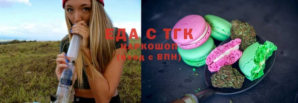 хмурый Аркадак