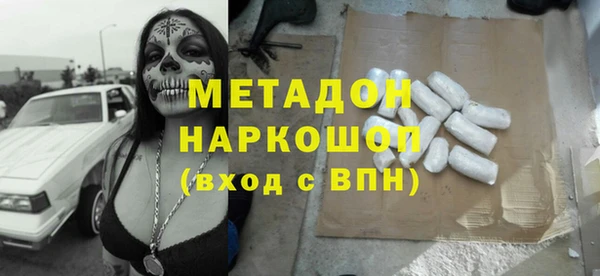 хмурый Аркадак