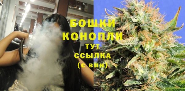 хмурый Аркадак