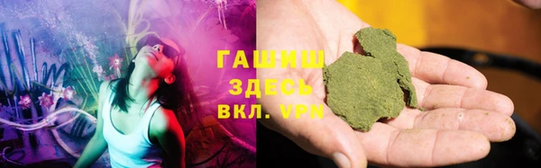хмурый Аркадак