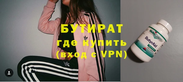 хмурый Аркадак