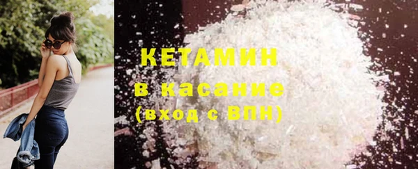 хмурый Аркадак