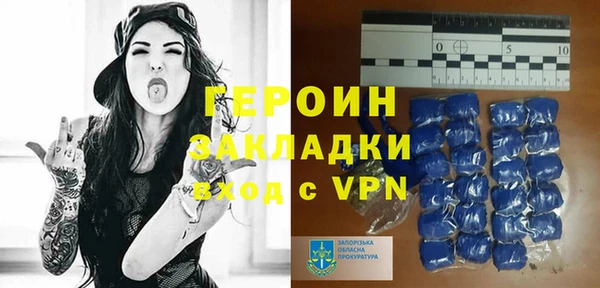 хмурый Аркадак