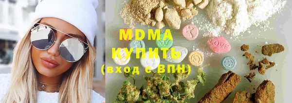 хмурый Аркадак