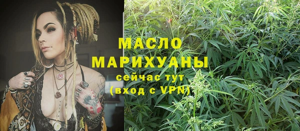 хмурый Аркадак