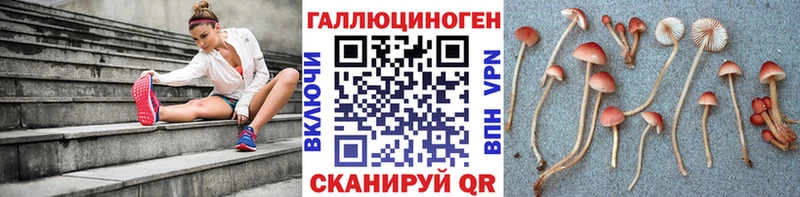 Галлюциногенные грибы MAGIC MUSHROOMS  Сосновка 