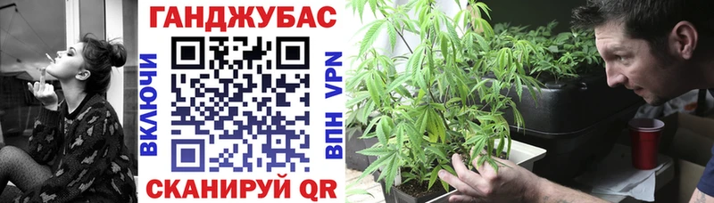 MEGA ONION  Сосновка  Марихуана семена 